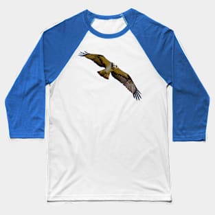 Flying osprey with a target in sight Baseball T-Shirt